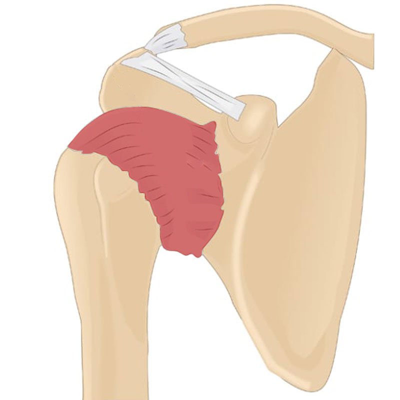 Frozen Shoulder stage3 | Global Health