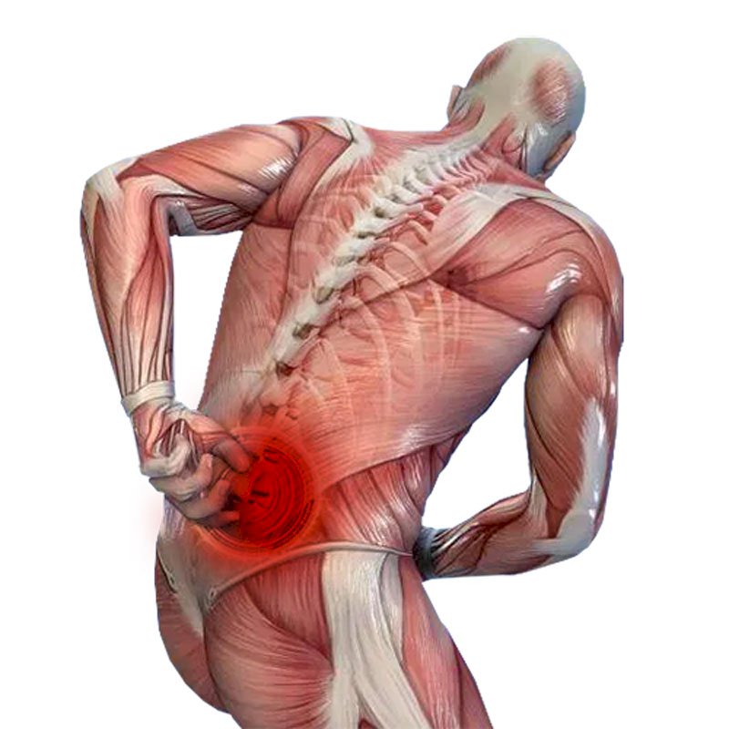 Back Pain stage3 | Global Health