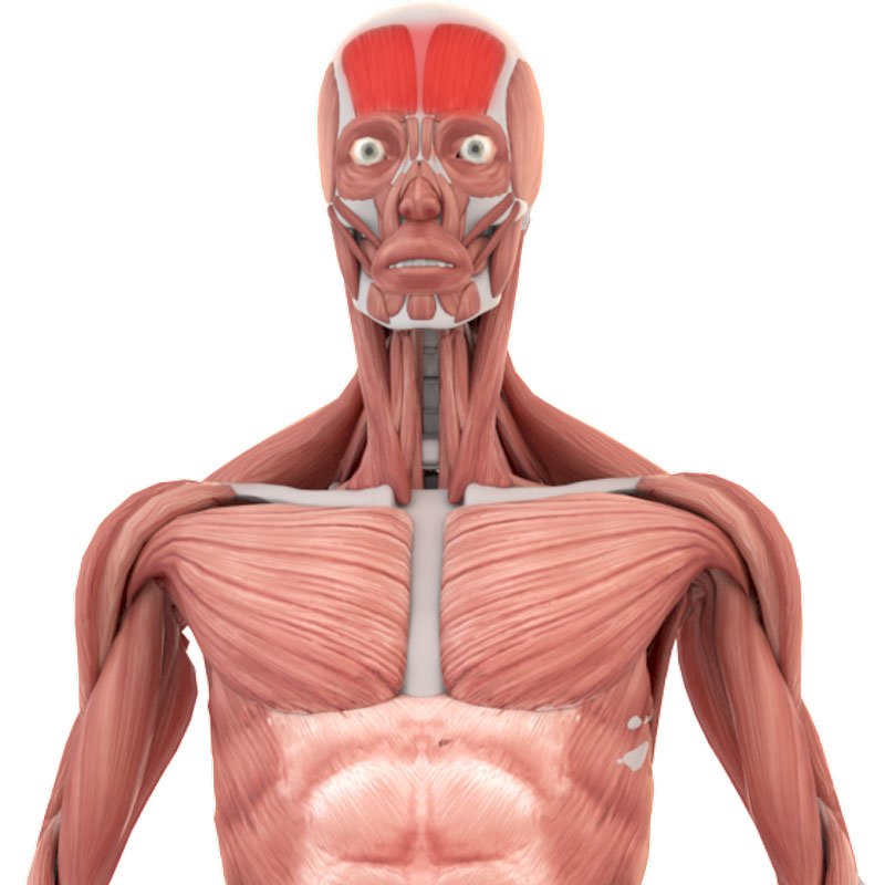 Migraine stage3 | Global Health