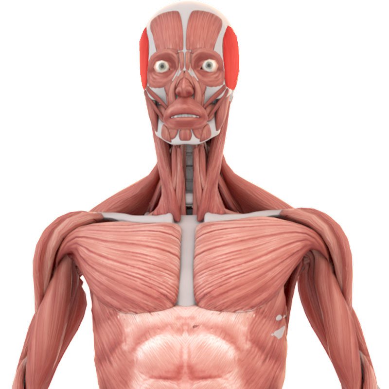 Migraine stage4 | Global Health