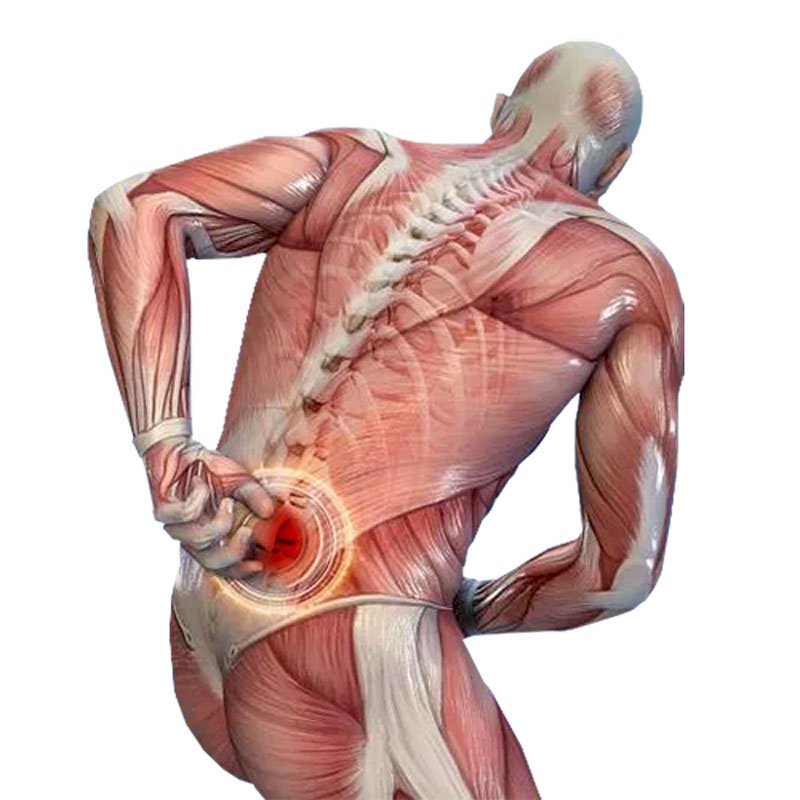 Back Pain stage1 | Global Health