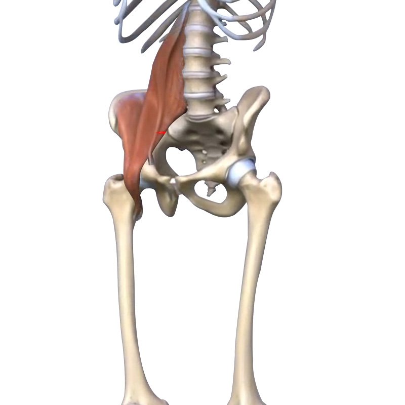 Hip Flexor Strain stage1 | Global Health