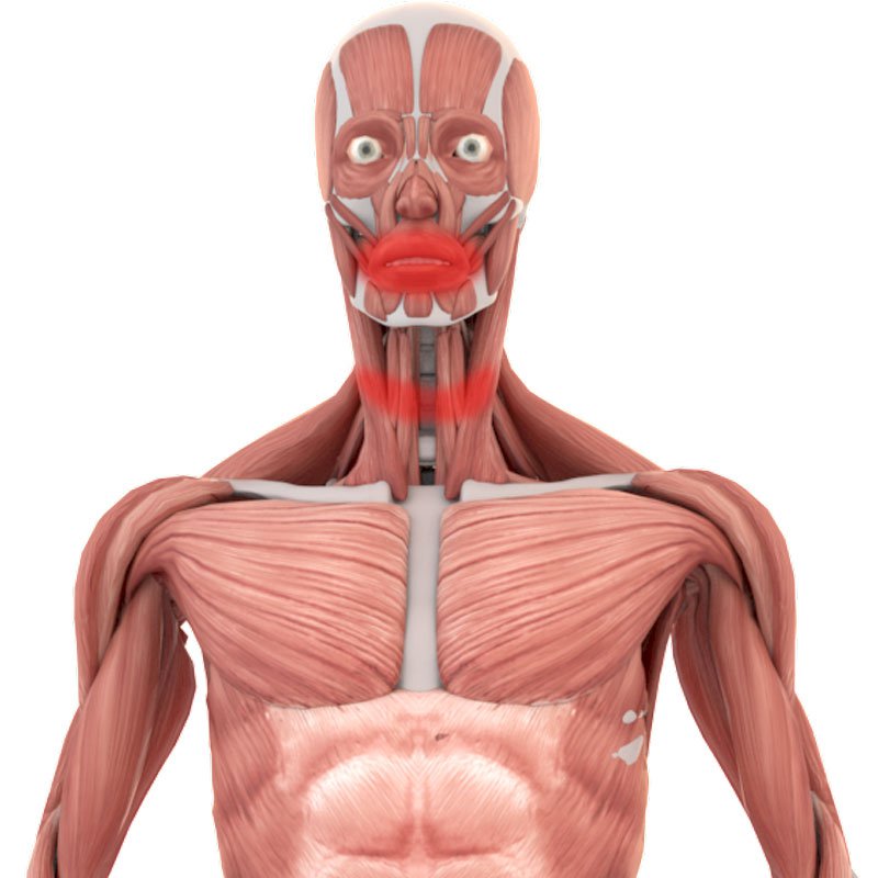 Migraine stage1 | Global Health