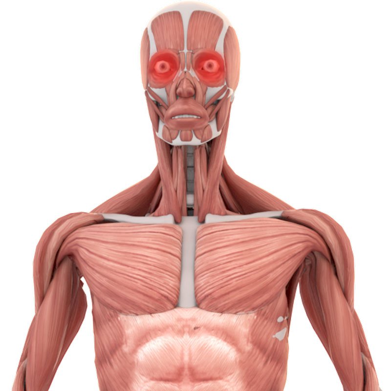 Migraine stage2 | Global Health
