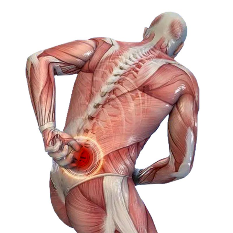 Back Pain stage2 | Global Health