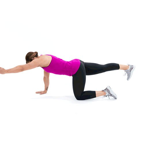 Quadruped Leg Raise | Global Health
