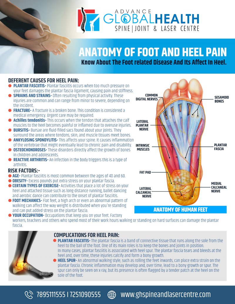ANATOMY OF FOOT AND HEEL PAIN: Know About The Foot related Disease And Its Affect In Heel