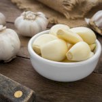 Garlic
