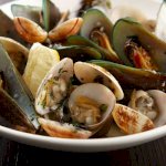 Shells of shellfish