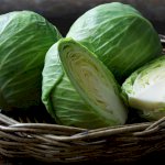 Cabbage