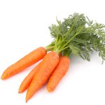 Carrots