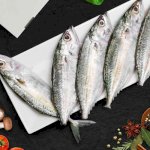 Mackerel