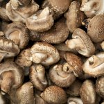 Mushrooms